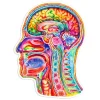 Codex Anatomicus Stickers^Brain anatomy sticker III - Watercolor Splash