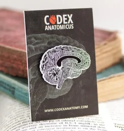 Codex Anatomicus Enamel Pins^Brain chalkboard - Enamel pin