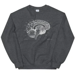 Codex Anatomicus Sweatshirts^Brain I Unisex Sweatshirt - Chalkboard