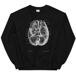 Codex Anatomicus Sweatshirts^Brain II Unisex Sweatshirt - Chalkboard