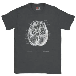 Codex Anatomicus T-shirts^Brain II Unisex T-Shirt - Chalkboard