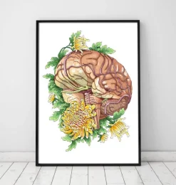Codex Anatomicus Brain Anatomy^Brain with flowers