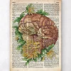 Codex Anatomicus Brain Anatomy^Brain with flowers - Old dictionary page