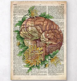 Codex Anatomicus Brain Anatomy^Brain with flowers - Old dictionary page