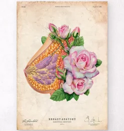 Codex Anatomicus Obstetrics & Gynecology^Breast anatomy - Floral - Vintage