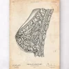 Codex Anatomicus Obstetrics & Gynecology^Breast anatomy I