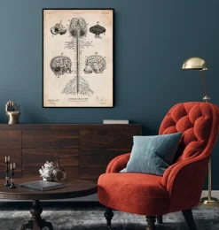 Codex Anatomicus Brain Anatomy^Central Nervous System art print - Brain and Spine cord