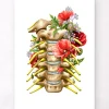 Codex Anatomicus Skull & Skeleton^Cervical nerves - Floral - White
