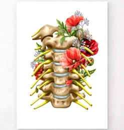 Codex Anatomicus Skull & Skeleton^Cervical nerves - Floral - White
