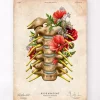 Codex Anatomicus Skull & Skeleton^Cervical nerves - Floral - Vintage