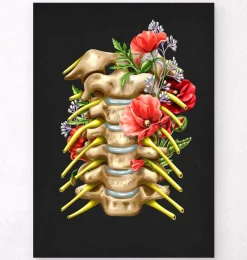 Codex Anatomicus Skull & Skeleton^Cervical nerves - Floral - Black