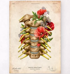 Codex Anatomicus Skull & Skeleton^Cervical nerves - Floral - Vintage