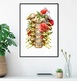 Codex Anatomicus Skull & Skeleton^Cervical nerves - Floral - White