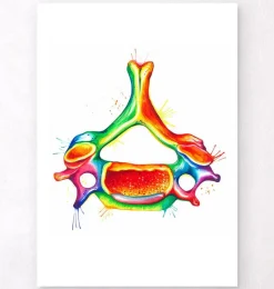 Codex Anatomicus Skull & Skeleton^Cervical vertebra - Watercolor splash