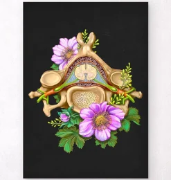 Codex Anatomicus Skull & Skeleton^Cervical vertebrae - Floral - Black
