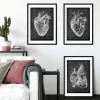 Codex Anatomicus Heart Anatomy^Chalkboard Heart Anatomy - Set of 3