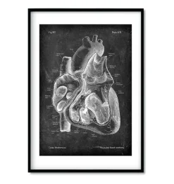 Codex Anatomicus Heart Anatomy^Chalkboard Heart Anatomy - Set of 3