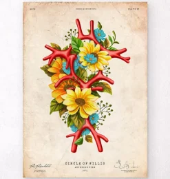 Codex Anatomicus Brain Anatomy^Circle of Willis - Floral - Vintage