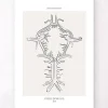 Codex Anatomicus Brain Anatomy^Circle of Willis - Line Art