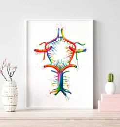 Codex Anatomicus Brain Anatomy^Circle of Willis - Watercolor splash