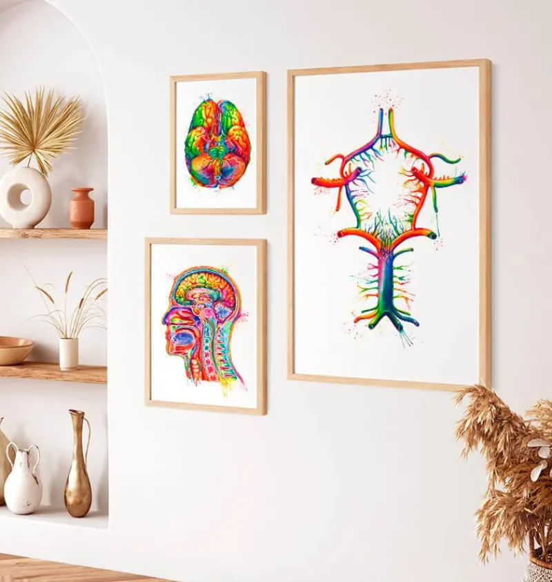 Codex Anatomicus Brain Anatomy^Circle of Willis - Watercolor splash