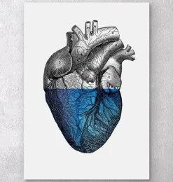 Codex Anatomicus Heart Anatomy^Colorful heart - Blue