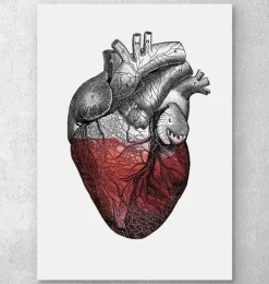 Codex Anatomicus Heart Anatomy^Colorful heart - Red
