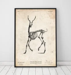 Codex Anatomicus Animal Anatomy^Deer skeleton print II