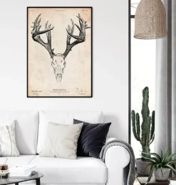 Codex Anatomicus Animal Anatomy^Deer skull print