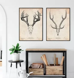 Codex Anatomicus Animal Anatomy^Deer skull print