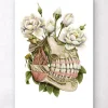 Codex Anatomicus Dental Anatomy^Dental anatomy - Floral
