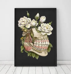 Codex Anatomicus Dental Anatomy^Dental anatomy - Floral - Black