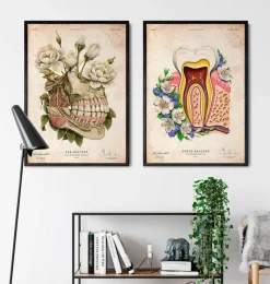 Codex Anatomicus Dental Anatomy^Dental anatomy - Floral - Vintage