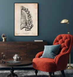 Codex Anatomicus Dental Anatomy^Dental anatomy art