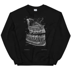Codex Anatomicus Sweatshirts^Dental Unisex Sweatshirt - Chalkboard