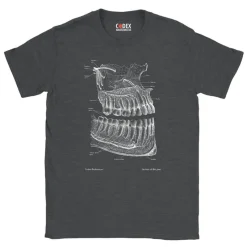 Codex Anatomicus T-shirts^Dental Unisex T-Shirt - Chalkboard