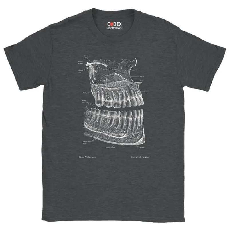 Codex Anatomicus T-shirts^Dental Unisex T-Shirt - Chalkboard
