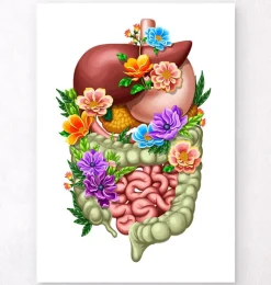 Codex Anatomicus Digestive System^Digestive system - Floral - White