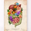 Codex Anatomicus Digestive System^Digestive system - Floral - Vintage