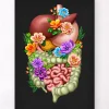 Codex Anatomicus Digestive System^Digestive system - Floral - Black