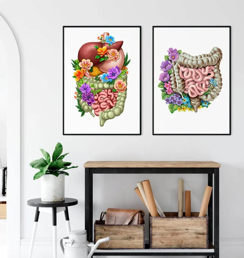 Codex Anatomicus Digestive System^Digestive system - Floral - White