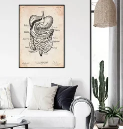 Codex Anatomicus Digestive System^Digestive system anatomy print