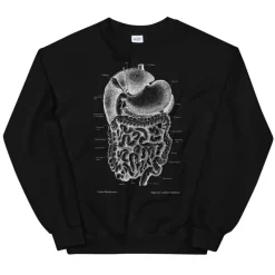 Codex Anatomicus Sweatshirts^Digestive system Unisex Sweatshirt - Chalkboard