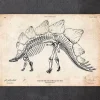 Codex Anatomicus Animal Anatomy^Dinosaur skeleton print - Stegosaurus