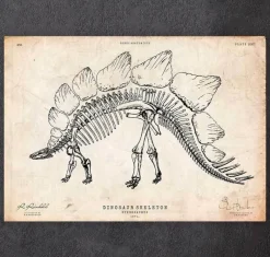 Codex Anatomicus Animal Anatomy^Dinosaur skeleton print - Stegosaurus