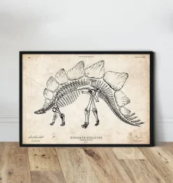 Codex Anatomicus Animal Anatomy^Dinosaur skeleton print - Stegosaurus