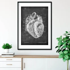Codex Anatomicus Heart Anatomy^Dissected heart anatomy - Chalkboard