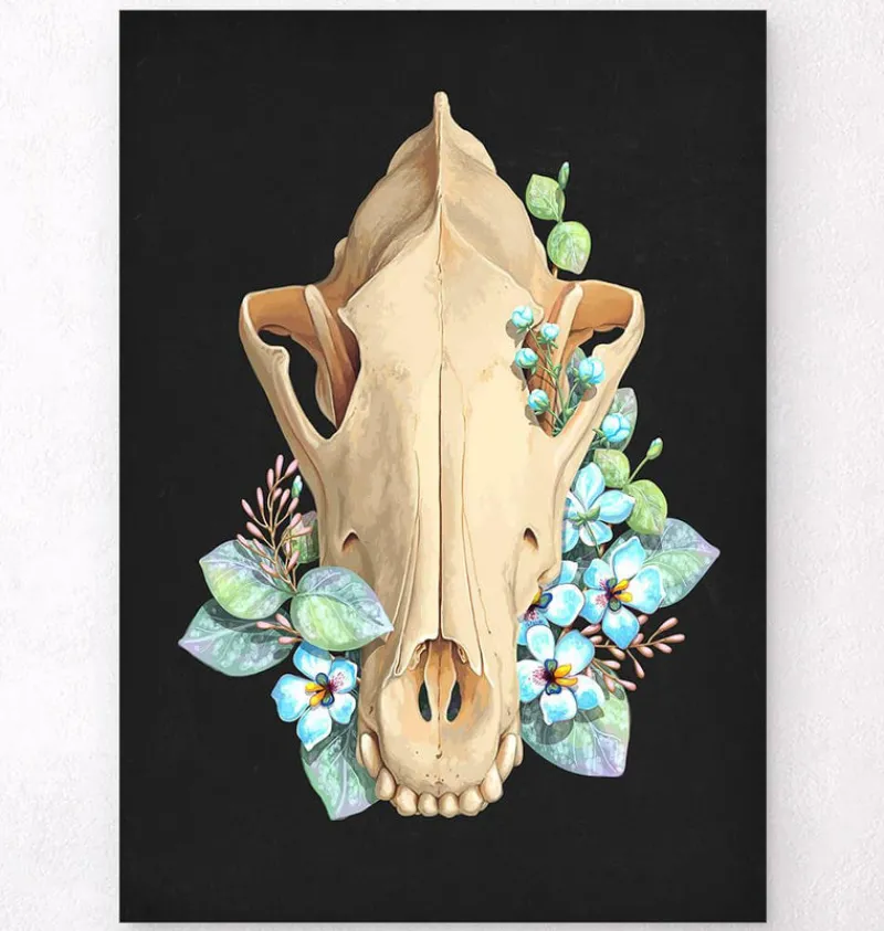 Codex Anatomicus Animal Anatomy^Dog skull - Floral - Black