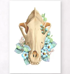 Codex Anatomicus Animal Anatomy^Dog skull - Floral - White