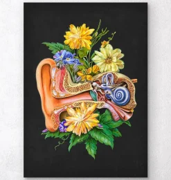 Codex Anatomicus Various Organs^Ear anatomy - Floral - Black